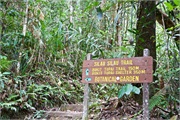 07-Kinabalu_Park
