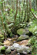 21-Kinabalu_Park