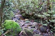 46-Kinabalu_Park