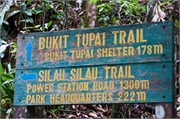 54-Kinabalu_Park