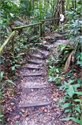 56-Kinabalu_Park