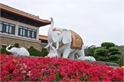 07-FoGuangShan