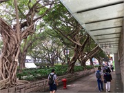 10-HongKong_1stDay
