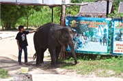 01-Koh_Samui