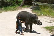 02-Koh_Samui