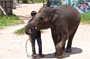 03-Koh_Samui