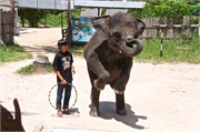 04-Koh_Samui