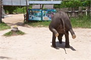 05-Koh_Samui