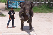 07-Koh_Samui