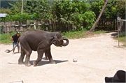 09-Koh_Samui