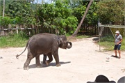 10-Koh_Samui