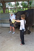 14-Koh_Samui