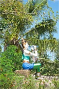 28-Koh_Samui