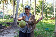66-Koh_Samui