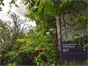 03-GardenByTheBay