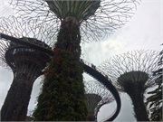 07-GardenByTheBay