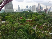 11-GardenByTheBay