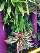 13-GardenByTheBay