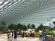 01-FlowerDome