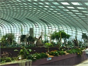 03-FlowerDome