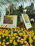 05-FlowerDome