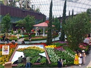 16-FlowerDome