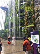 02-CloudForest