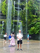 04-CloudForest