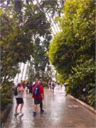 05-CloudForest