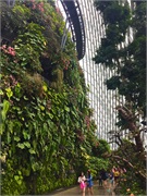 08-CloudForest