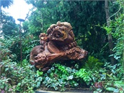 09-CloudForest