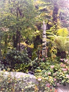 10-CloudForest