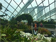 27-CloudForest