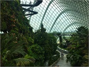 42-CloudForest