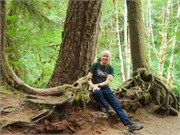 164-10-OlympicNatlParkWA