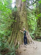 166-12-OlympicNatlParkWA