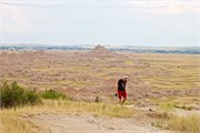 174-39-BadlandsSD
