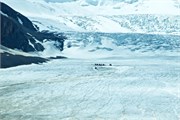 163-05-IcefieldCenterJasper