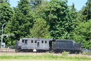 208-25-SnoqualmieTrains