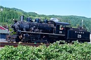 317-66-PacCoastHwy101
