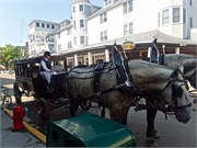 390-14-MackinacIslandMI
