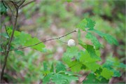 007-04-BlackRiverFallsWI