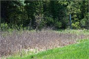 014-07-N_CountryNatlTrailWI