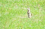 023-41-FtLaReineManitoba