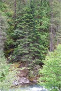 041-052-SlateCreekID
