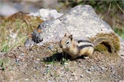 047-18-LakeLouise