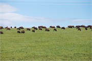 112-01-MontanaDrive
