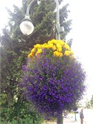 325-54-SewardToAnchorage