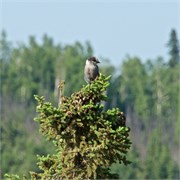 395-28-DaltonHwyArcticCircle