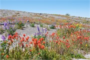 424-17-MtStHelens
